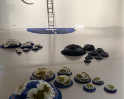 Confluence 2026 - Blue Mountains Cultural Centre,
Katoomba Anne Graham